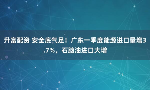 升富配资 安全底气足！广东一季度能源进口量增3.7%，石脑油进口大增